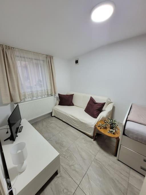Studio Sibiu Exteriér fotografie
